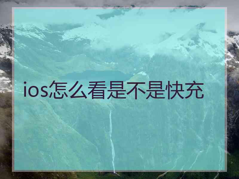 ios怎么看是不是快充