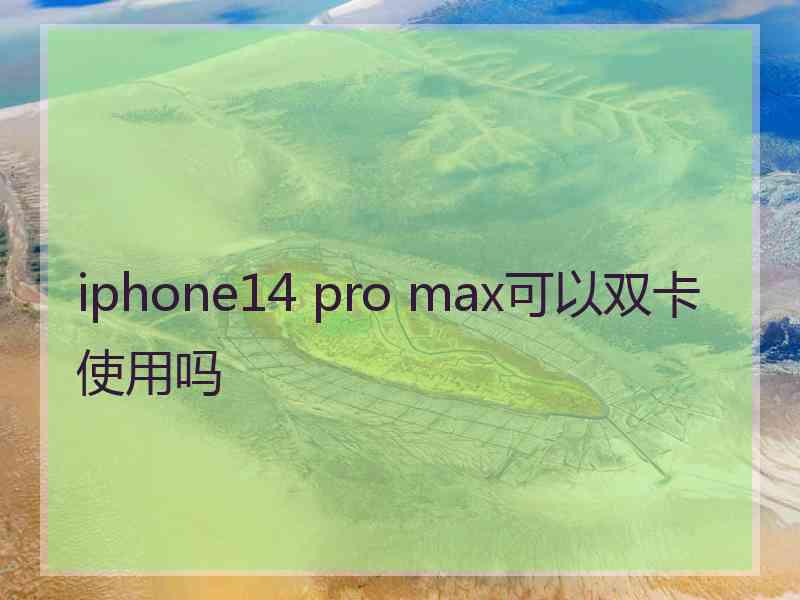 iphone14 pro max可以双卡使用吗