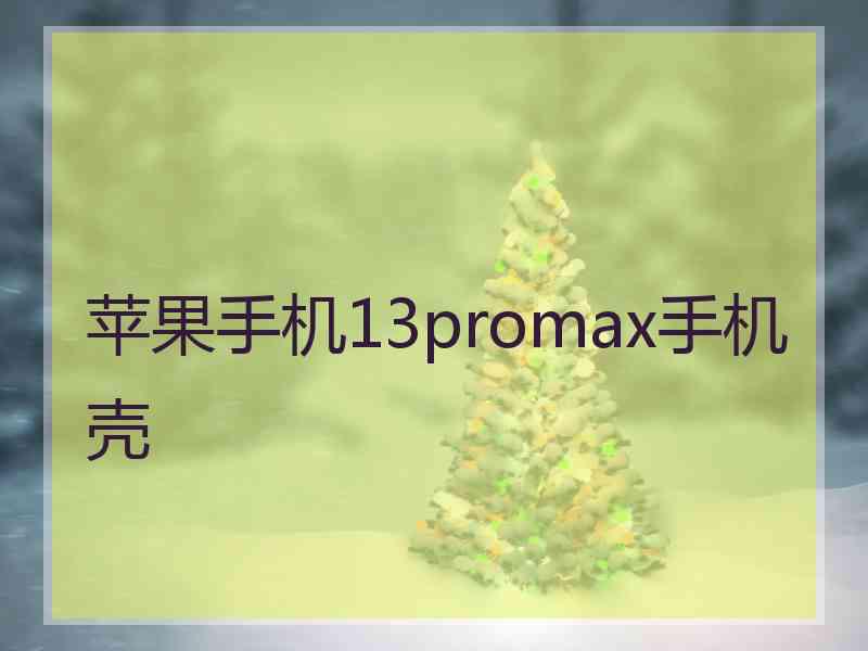 苹果手机13promax手机壳