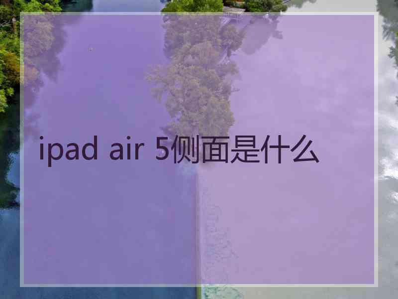 ipad air 5侧面是什么