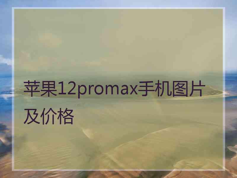 苹果12promax手机图片及价格