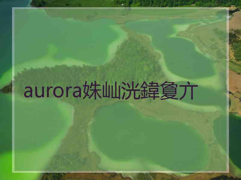 aurora姝屾洸鍏夐亣