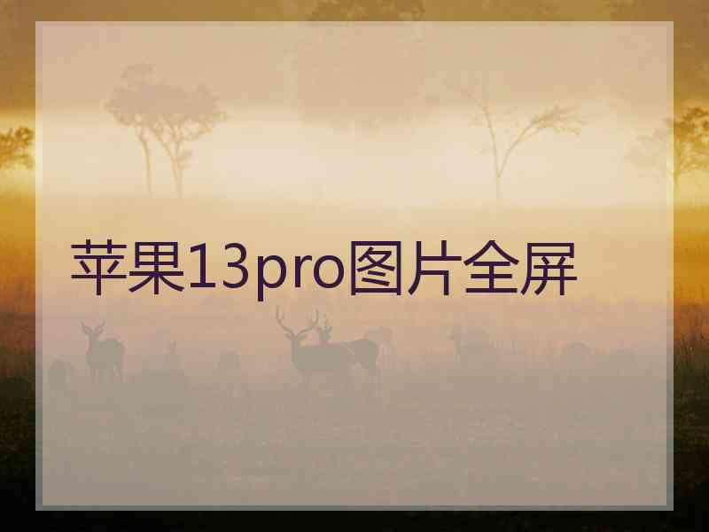 苹果13pro图片全屏