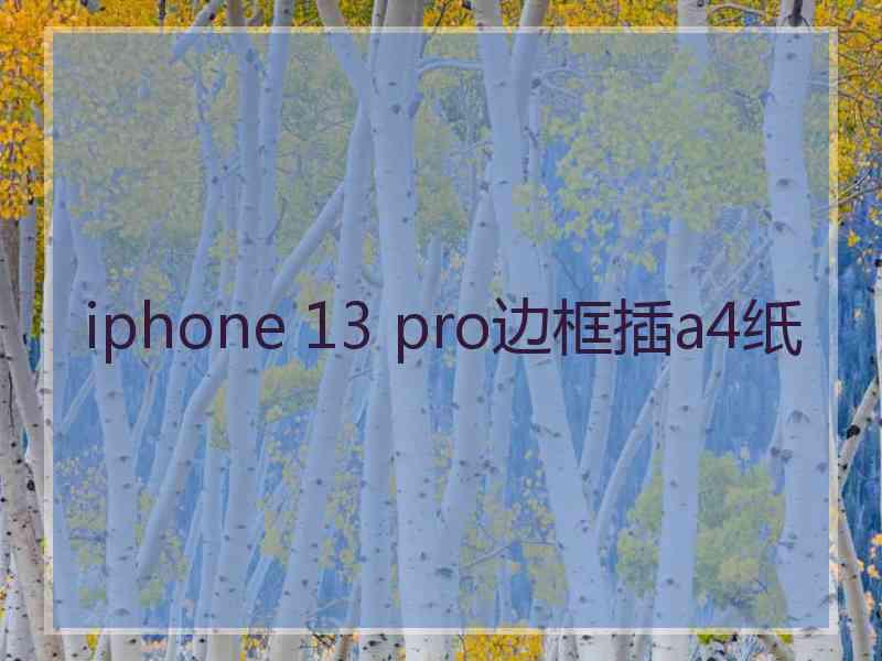 iphone 13 pro边框插a4纸