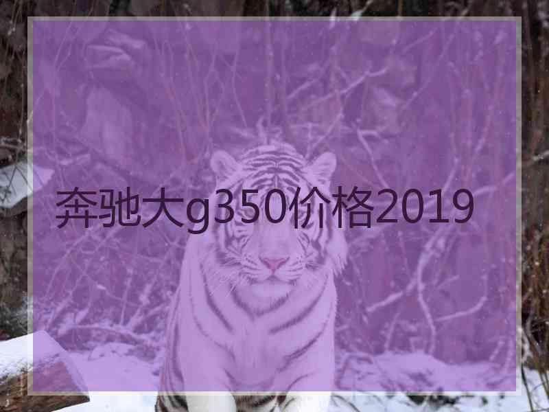 奔驰大g350价格2019