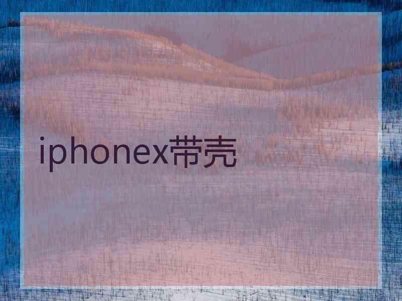 iphonex带壳