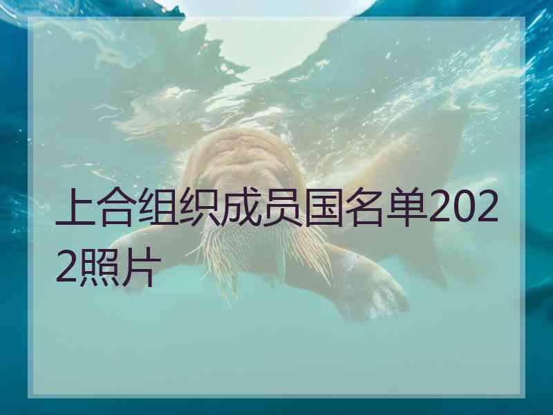 上合组织成员国名单2022照片