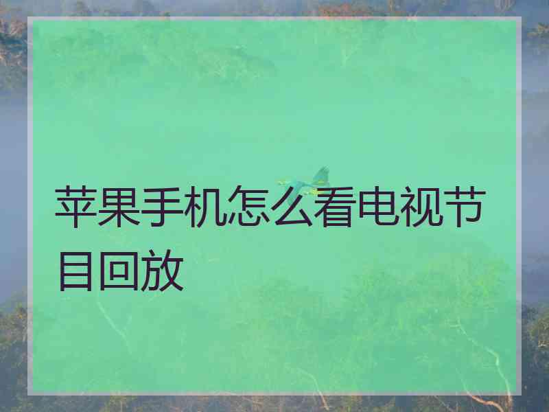 苹果手机怎么看电视节目回放