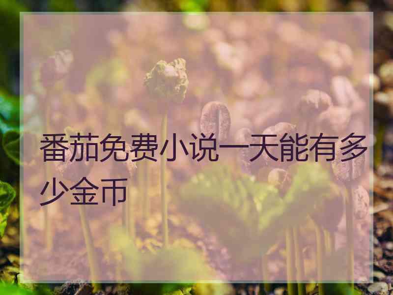 番茄免费小说一天能有多少金币