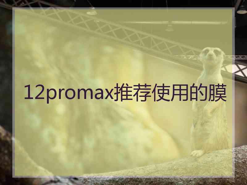 12promax推荐使用的膜