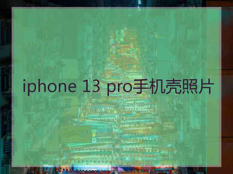 iphone 13 pro手机壳照片