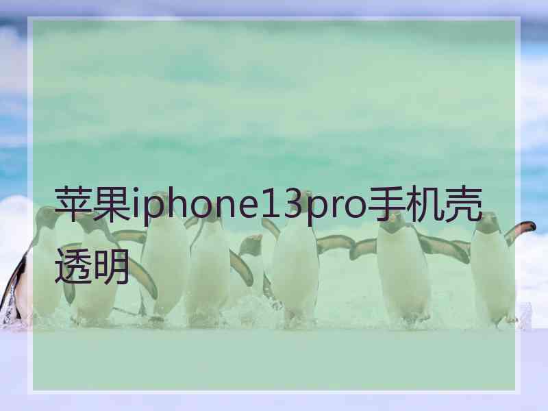 苹果iphone13pro手机壳透明