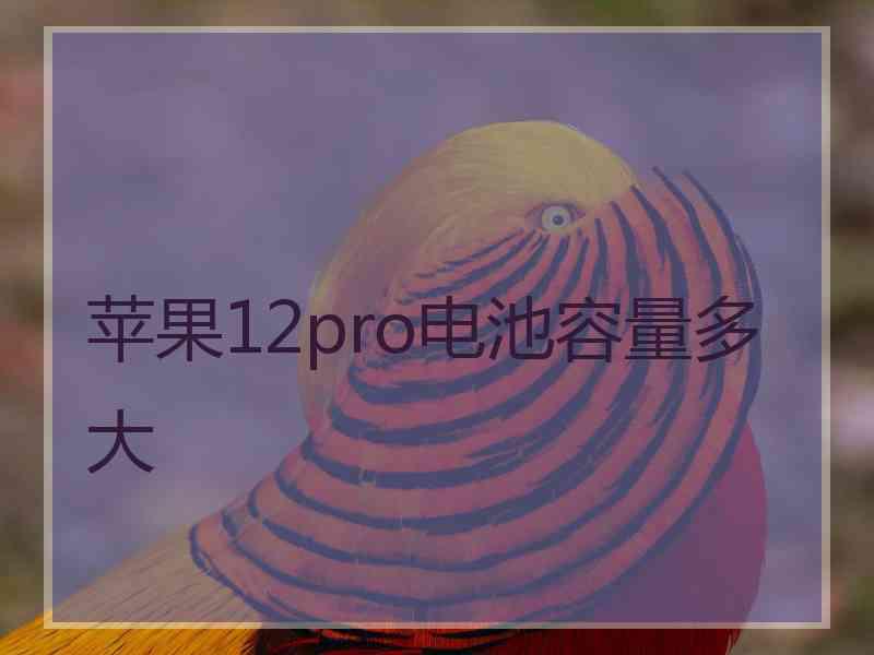 苹果12pro电池容量多大