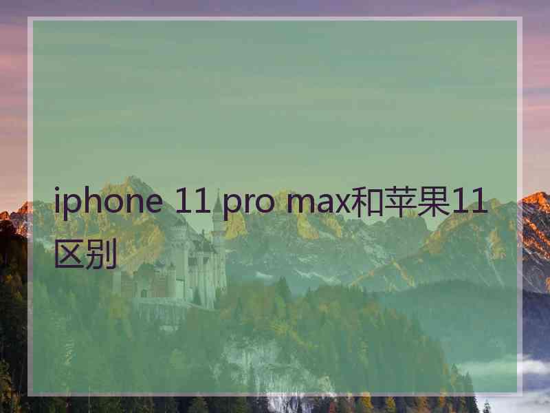 iphone 11 pro max和苹果11区别