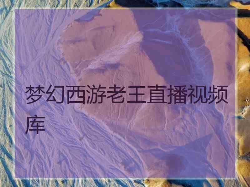 梦幻西游老王直播视频库