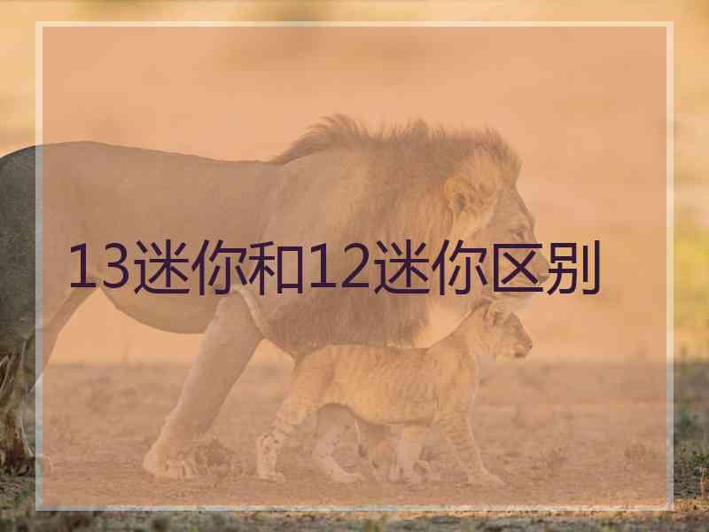 13迷你和12迷你区别