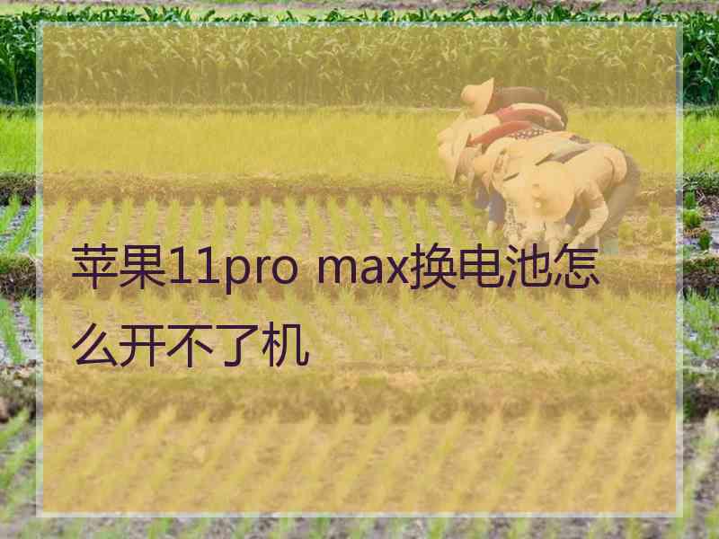 苹果11pro max换电池怎么开不了机