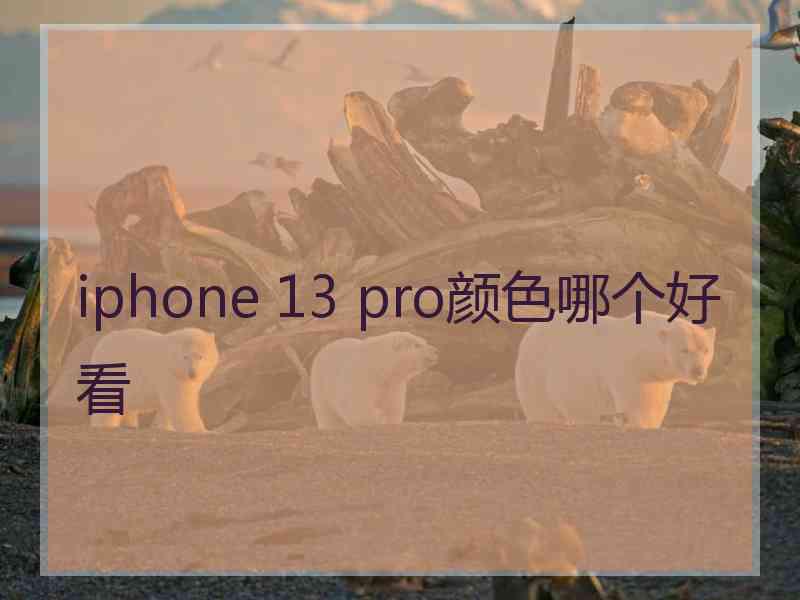 iphone 13 pro颜色哪个好看