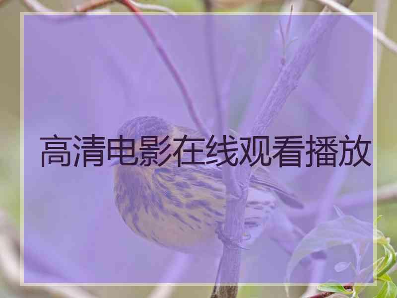 高清电影在线观看播放