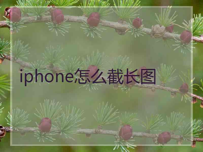 iphone怎么截长图