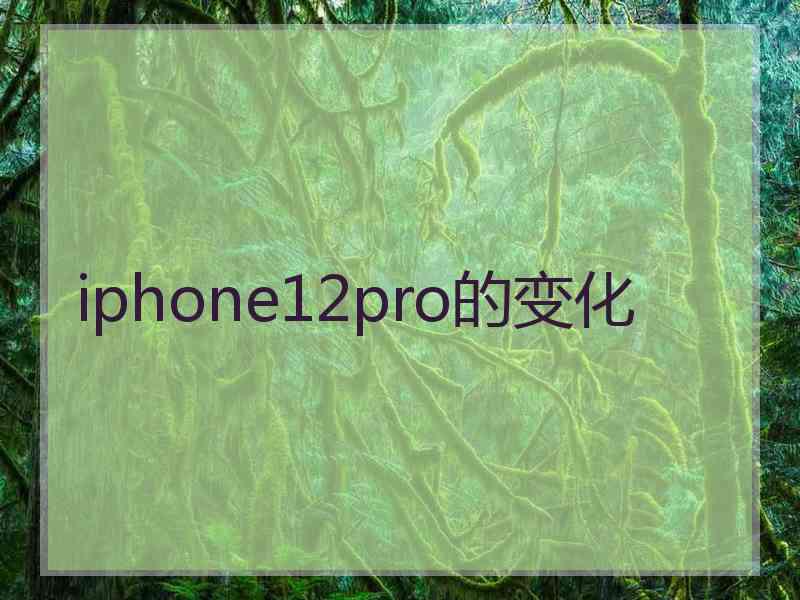 iphone12pro的变化