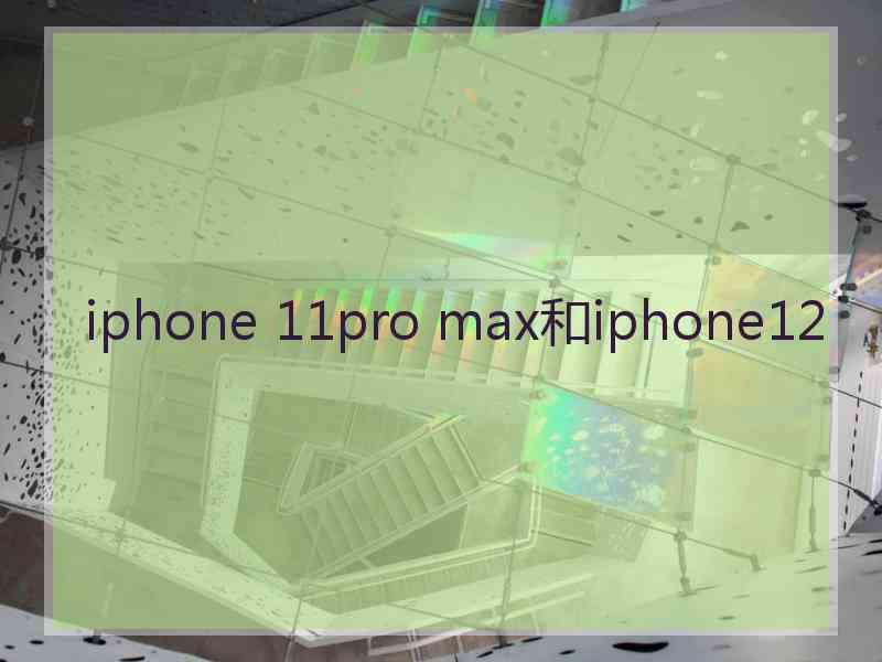 iphone 11pro max和iphone12