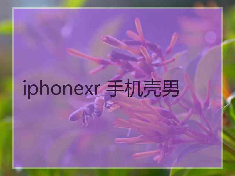 iphonexr 手机壳男