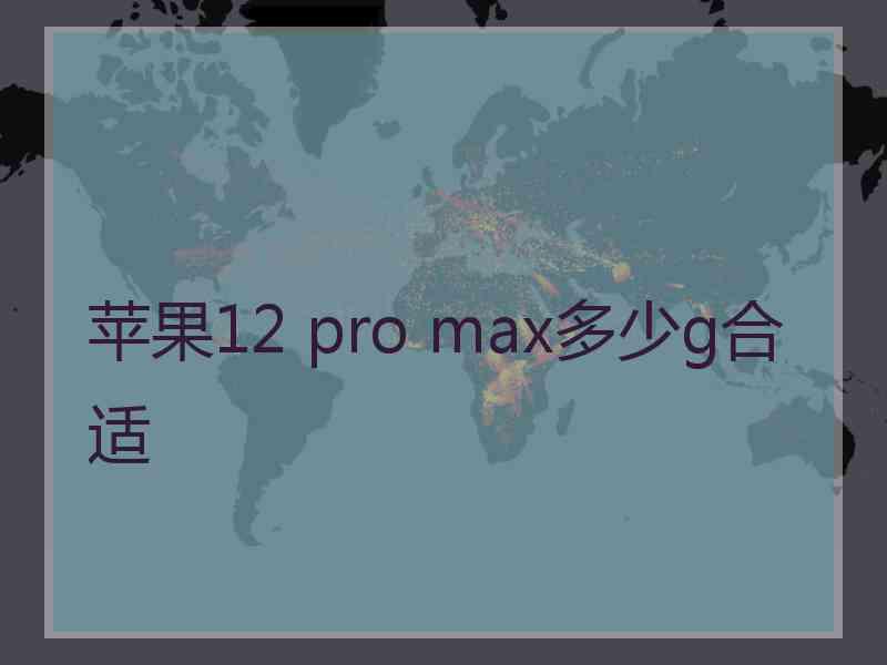 苹果12 pro max多少g合适