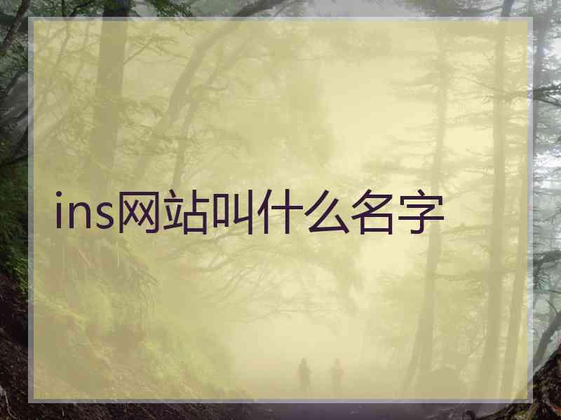 ins网站叫什么名字