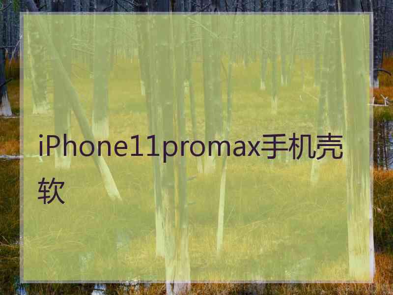 iPhone11promax手机壳软