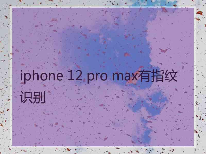 iphone 12 pro max有指纹识别