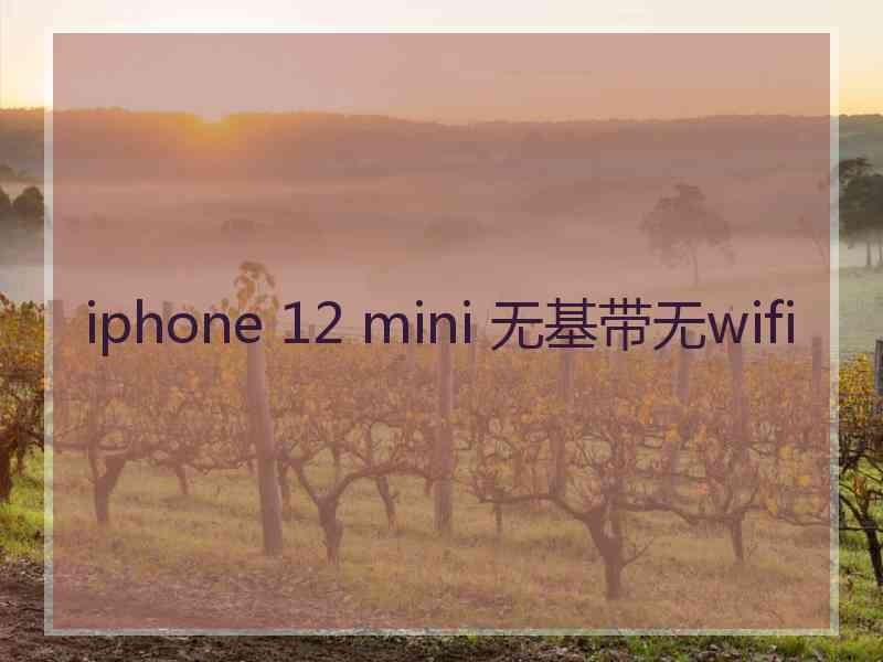 iphone 12 mini 无基带无wifi