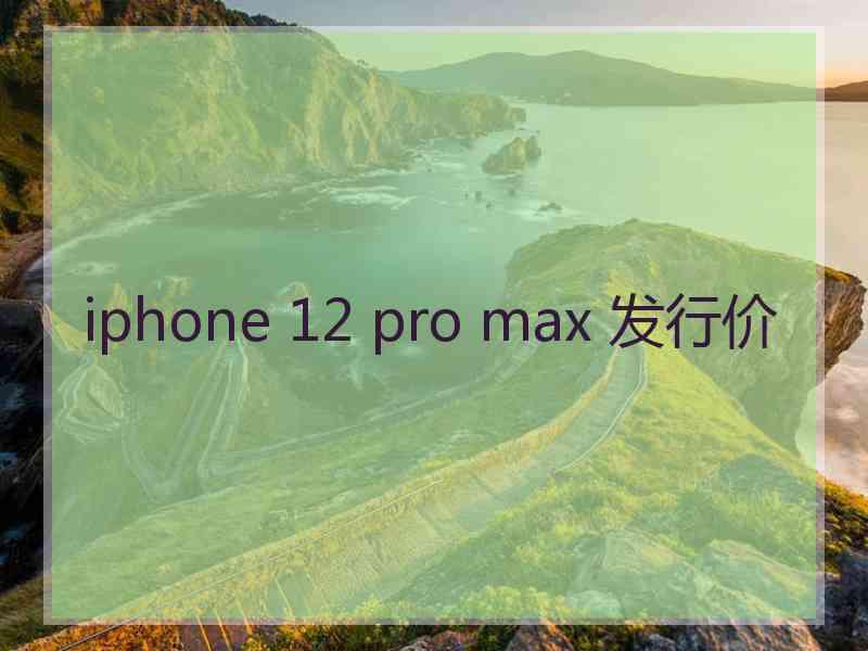 iphone 12 pro max 发行价