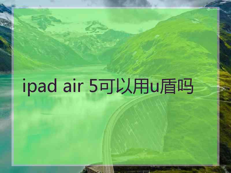 ipad air 5可以用u盾吗