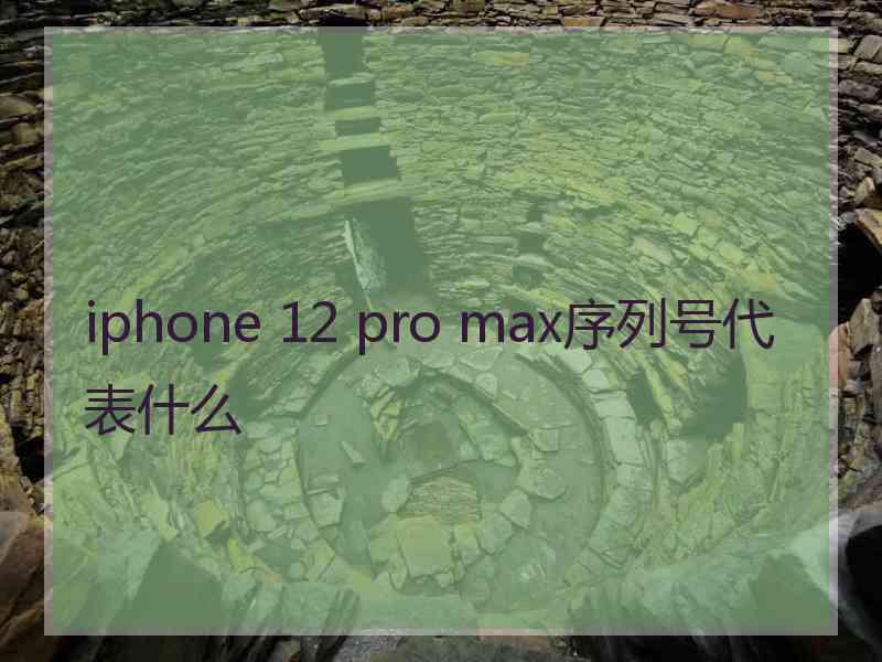 iphone 12 pro max序列号代表什么