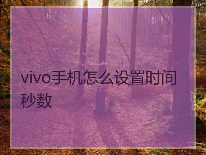 vivo手机怎么设置时间秒数