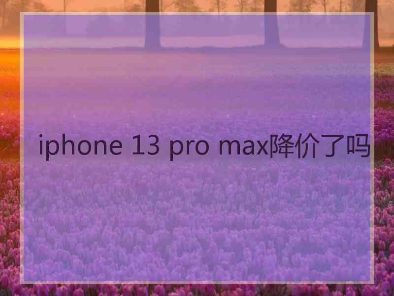 iphone 13 pro max降价了吗