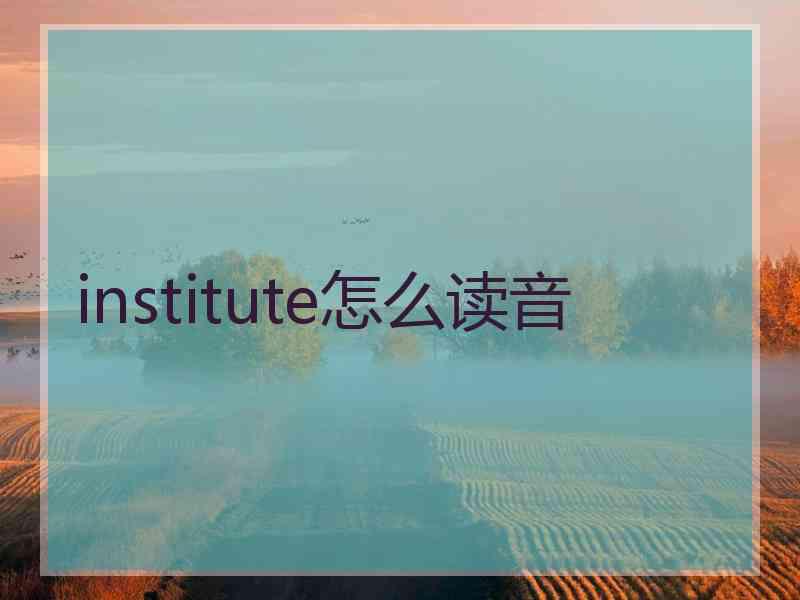 institute怎么读音