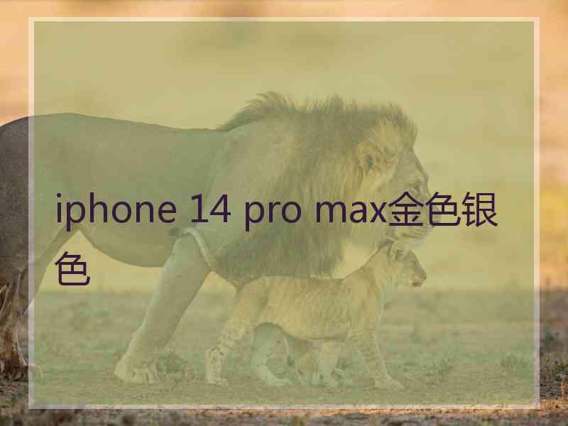 iphone 14 pro max金色银色