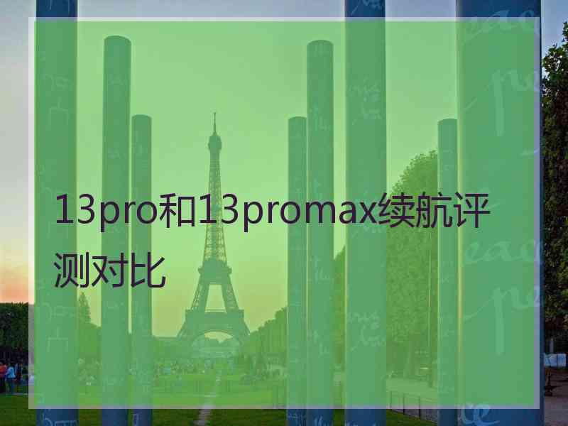 13pro和13promax续航评测对比