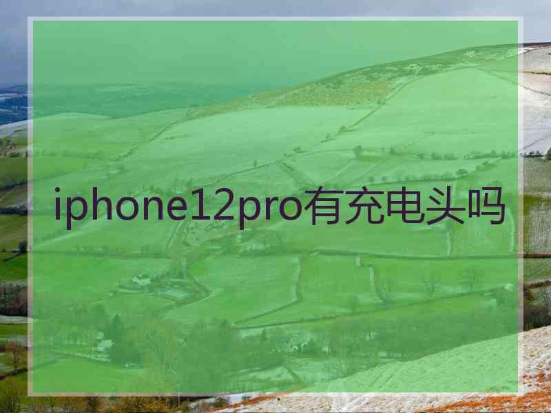 iphone12pro有充电头吗