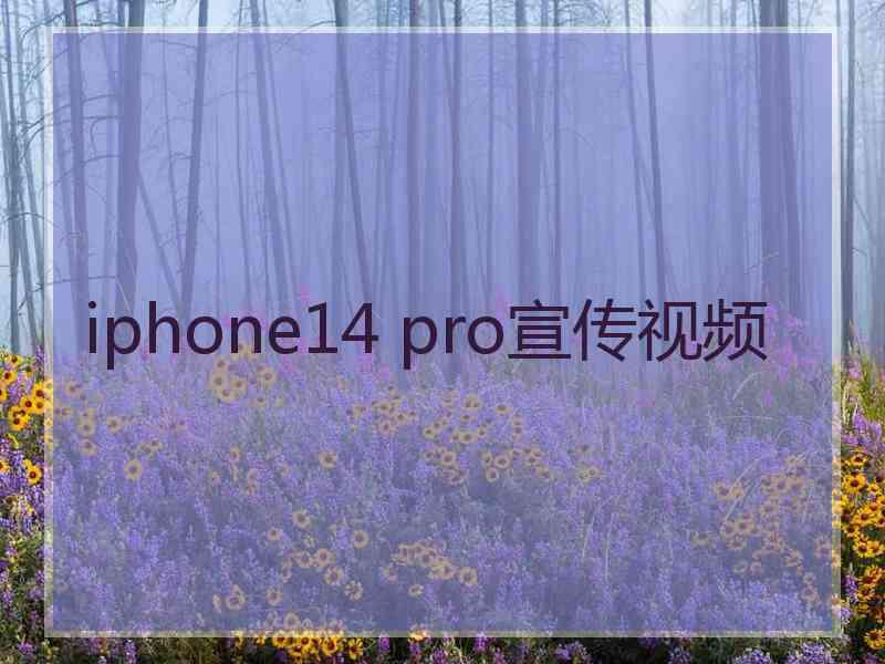 iphone14 pro宣传视频