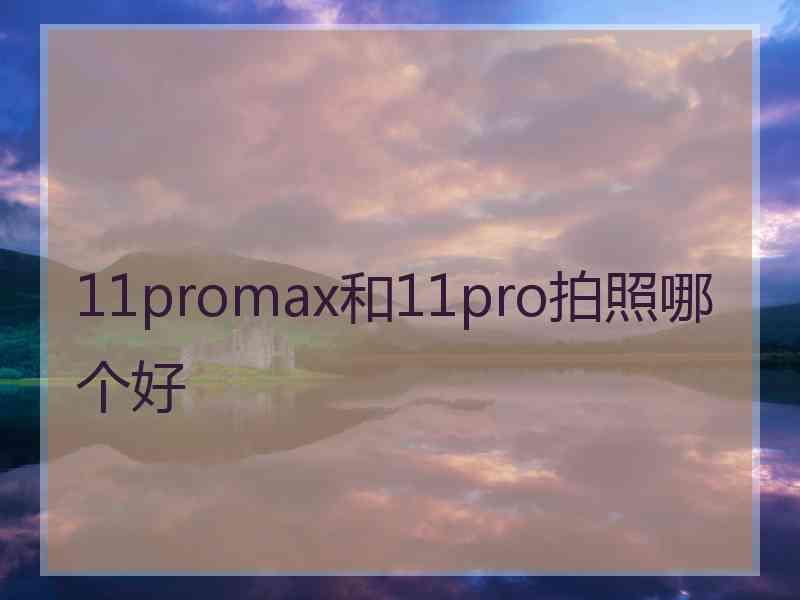 11promax和11pro拍照哪个好