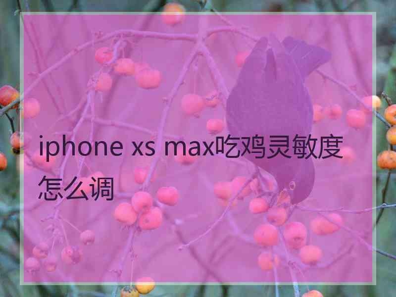 iphone xs max吃鸡灵敏度怎么调