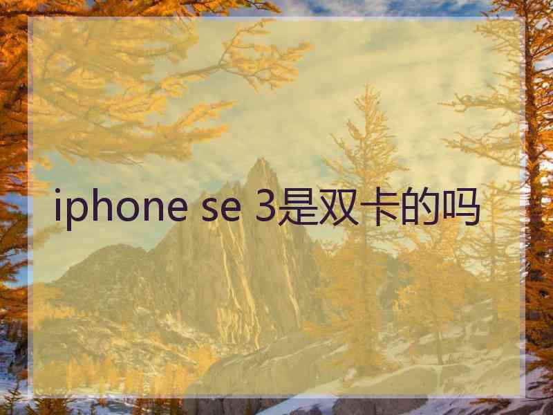 iphone se 3是双卡的吗