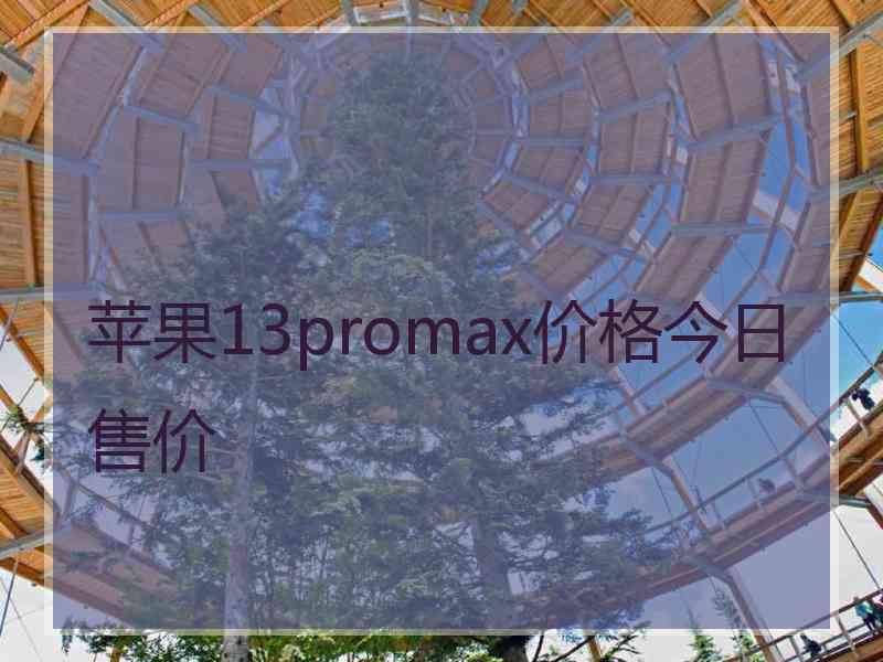 苹果13promax价格今日售价