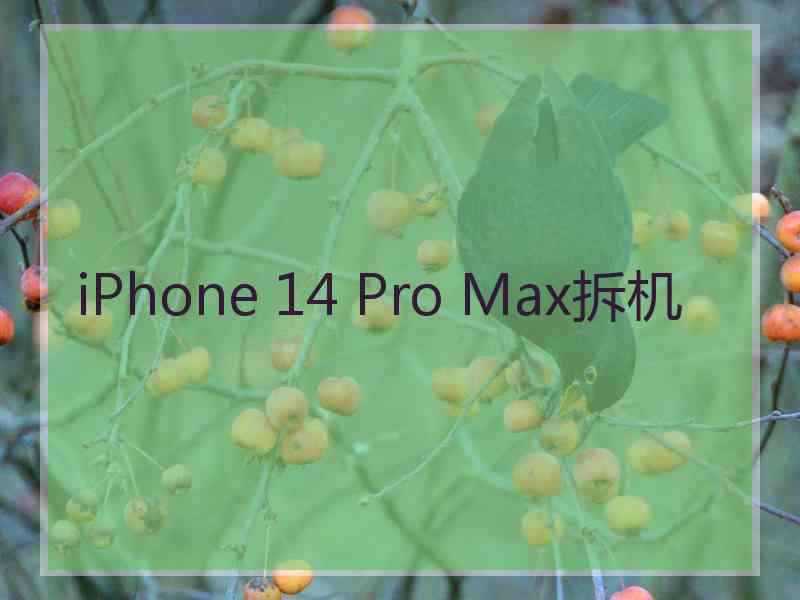 iPhone 14 Pro Max拆机