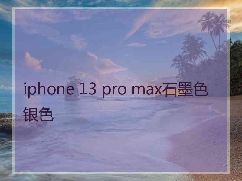 iphone 13 pro max石墨色银色