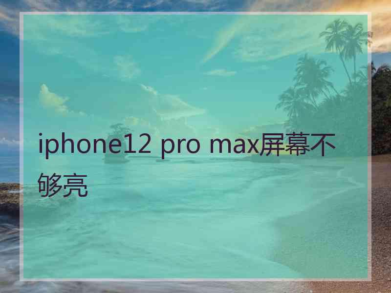 iphone12 pro max屏幕不够亮