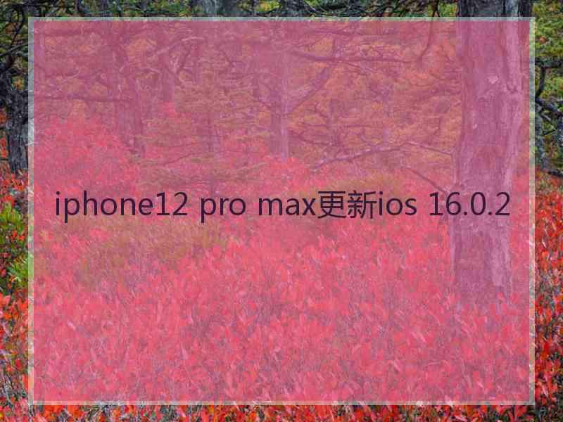 iphone12 pro max更新ios 16.0.2